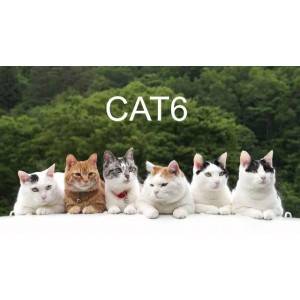 Сказ про кабель Cat6