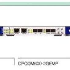 Мультиплексор Raisecom OPCOM600-2GEMP