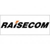 Маршрутизатор Raisecom RC1101-FEV35E1-DC