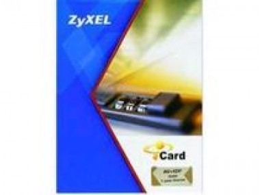 Лицензия ZyXEL E-iCard CF ZyWALL USG 100 1 year